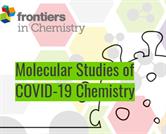 Molecular Studies of COVID-19 Chemistry | Frontiers Research Topic